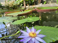 -国家植物园南园