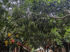 -石羊古镇