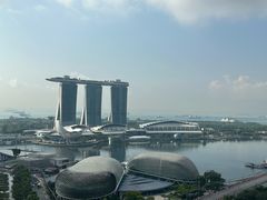 -新加坡瑞士史丹福酒店