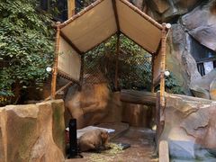 -杭州开元森泊度假乐园