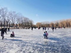 -东坝千亩湖公园