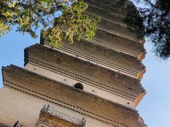 -西安博物院