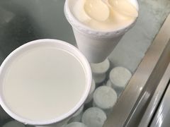 -洪馨椰子