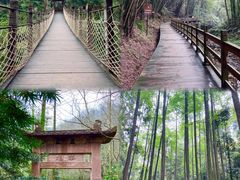 -凤栖山