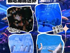 -石家庄极地海洋世界