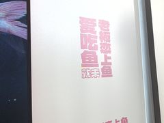 -老板恋上鱼(恒隆广场店)