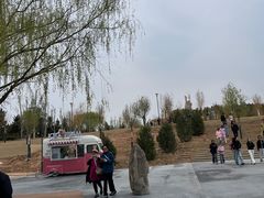 -红碱淖景区