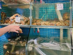 水产区-船奇蒸汽海鲜·闽菜(八市海鲜总店)