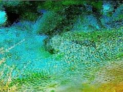 -叠溪松坪沟景区