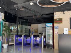 -汇乐游泳馆(莲花南路店)