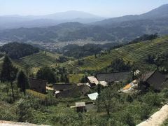 -紫鹊界梯田景区