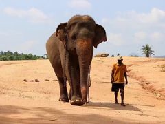 -班达拉奈克国际机场