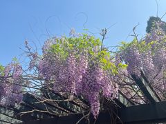 -恭王府博物馆