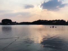 -盛兴面馆(真儒大厦店)