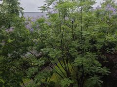 -成都安仁福朋喜来登酒店