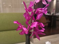 -英冠索菲特酒店·萧湘阁中餐厅