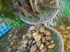 -面道赞宁海海鲜面(迎凤街店)