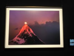 -罗红摄影艺术馆