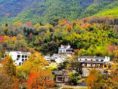 -塔川景区