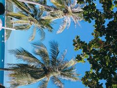 -亚龙湾海底世界