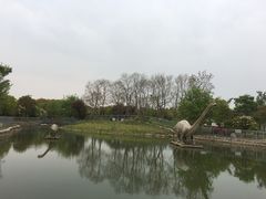 -上海海湾国家森林公园