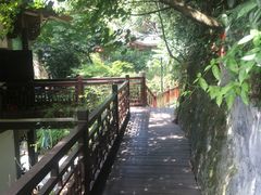 -十八棵（老龙井）御茶园(老龙井店)