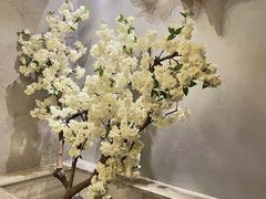 -云中漫步·足疗养生会馆(金开店)