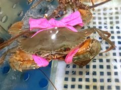 -盒马鲜生(枣园路店)