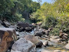 -广州白江湖森林公园