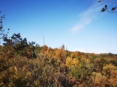 -虞山风景区