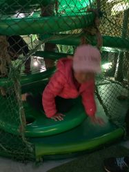 -恐龙探索乐园(磁器口店)