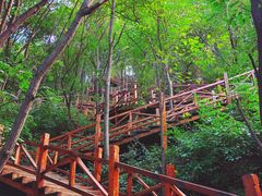 -大岭沟猕猴桃谷风景区