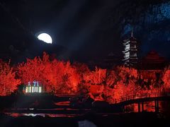 -禅宗少林·音乐大典