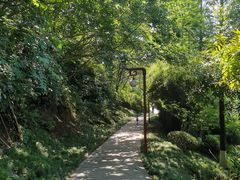 -重庆彩云湖湿地公园