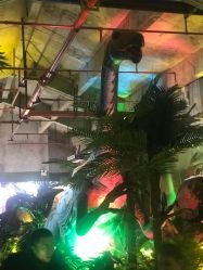 -恐龙探索乐园(磁器口店)