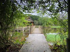 -中国科学院西双版纳热带植物园