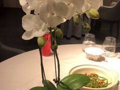 -蘇锦宴·淮扬菜烤鸭·小院(三元桥霄云路店)