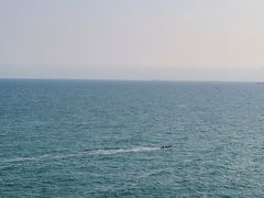-广东惠东海龟国家级自然保护区