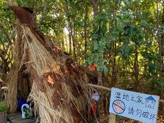 -华侨城湿地公园