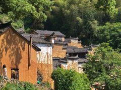 -杨家堂村