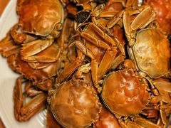 -视界美食自助餐厅·石家庄希尔顿酒店