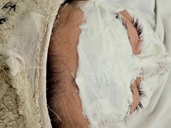 -哈尔滨融创文旅城