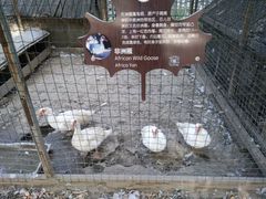 -意大利农场度假村