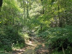 -杭州半山国家森林公园