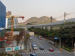 -深圳野生动物园
