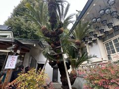 -难波八坂神社