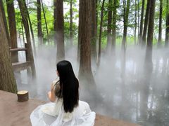 -东湖落雁景区