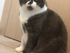 -杭州来福士中心