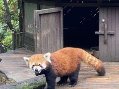 -云南野生动物园