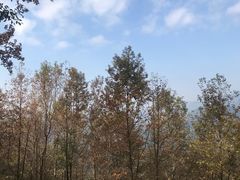 -广州市石门国家森林公园